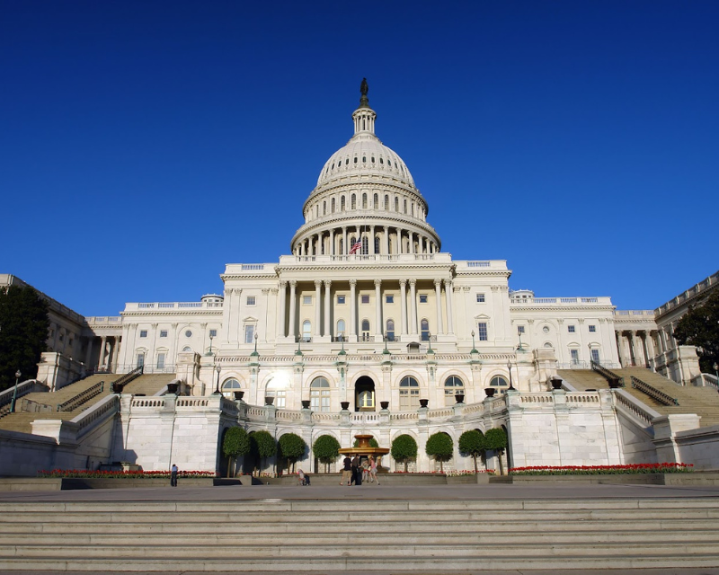 untitled design (31)